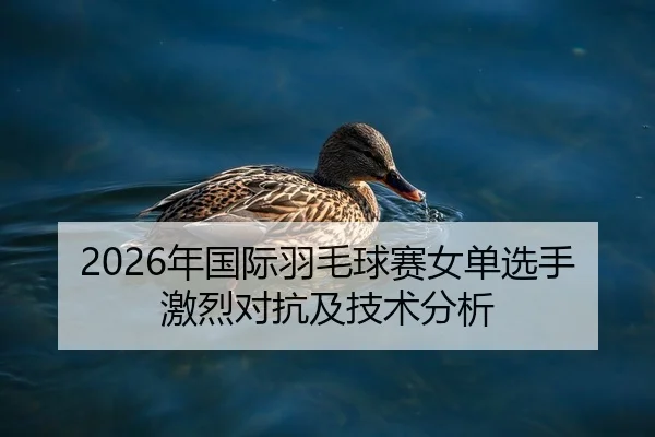 2026年国际羽毛球赛女单选手激烈对抗及技术分析