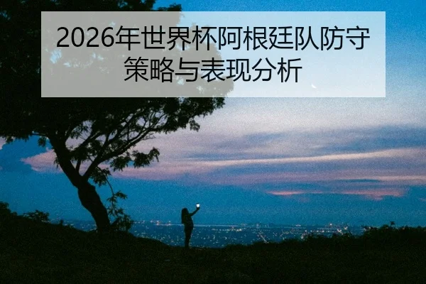 nian-shi-jie-bei-a-gen-ting-dui-fang-shou-ce-lve-yu-biao-xian-fen-xi-2-228.jpg