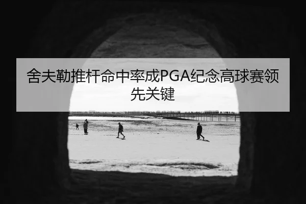 舍夫勒推杆命中率成PGA纪念高球赛领先关键