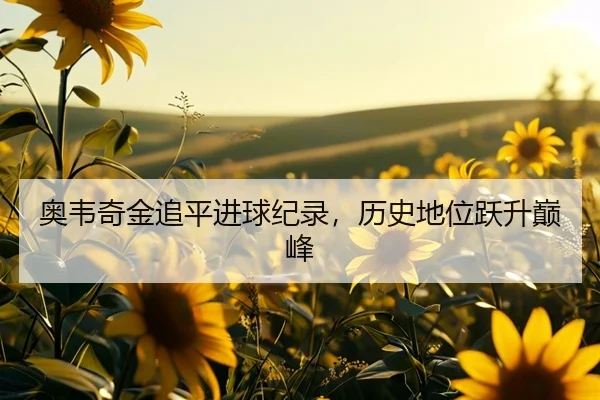 奥韦奇金追平进球纪录，历史地位跃升巅峰